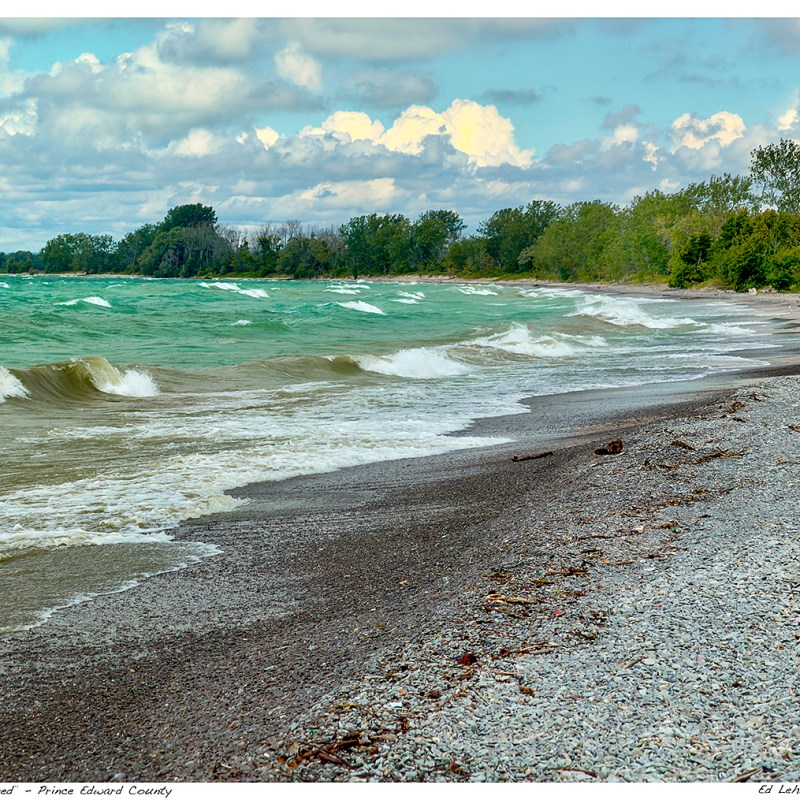 “Wind Whipped” – Prince Edward&nbsp;County