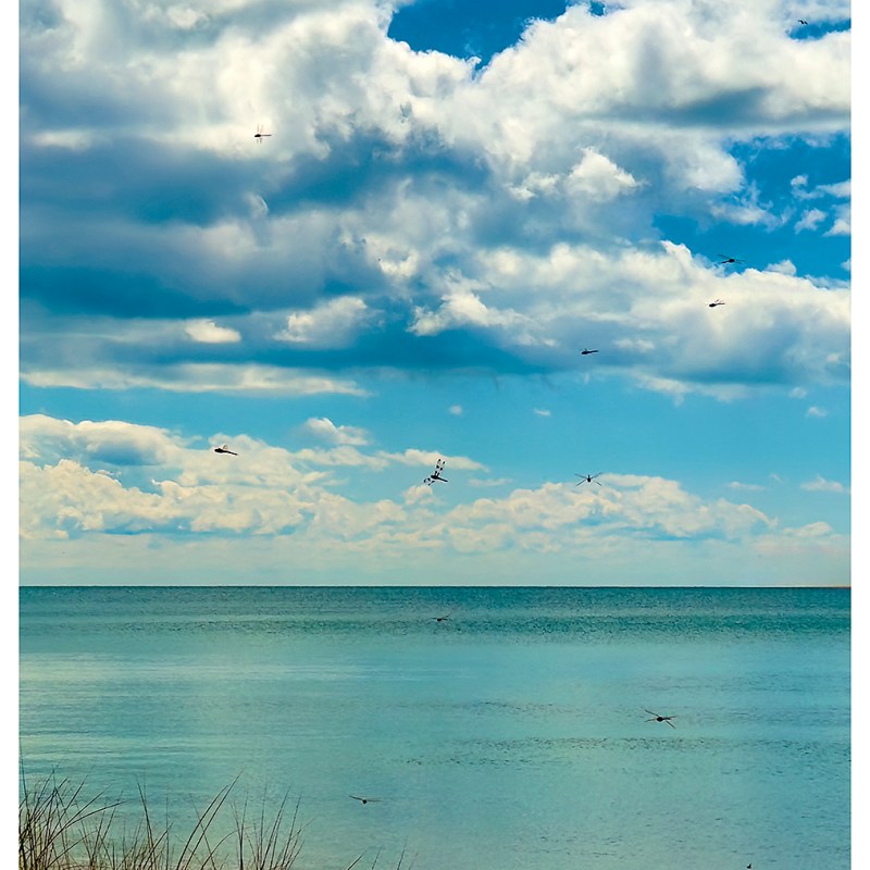 “Dance of the Dragons” – Lake Ontario,&nbsp;PEC
